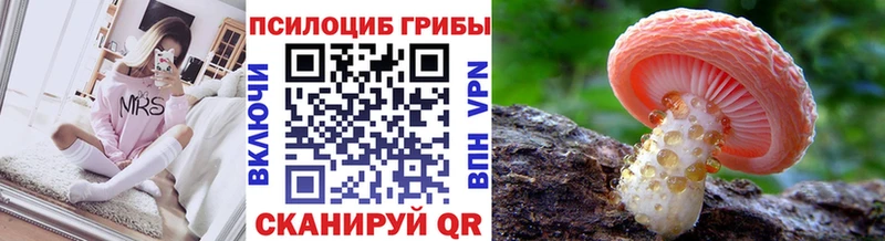где продают наркотики  Краснообск  Галлюциногенные грибы Magic Shrooms 
